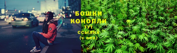 хмурый Рославль