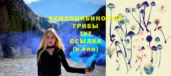 apvp Сафоново